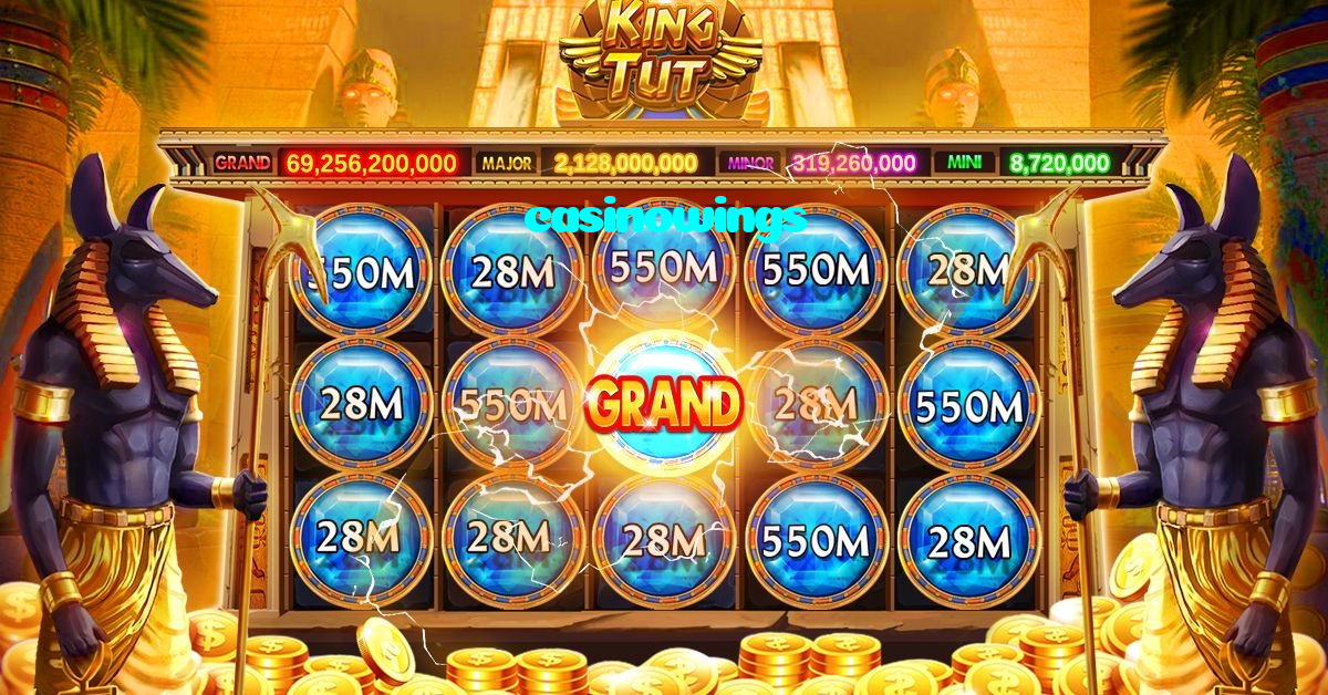 available types of casinowings bet including pre-match live express and system bets